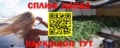 гидра Славгород