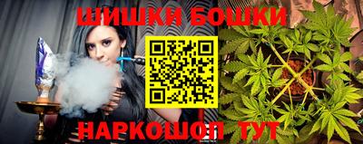 гидра Славгород