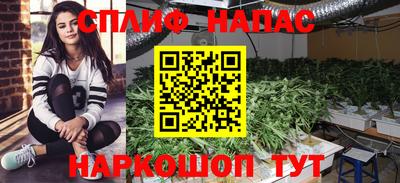 гидра Славгород