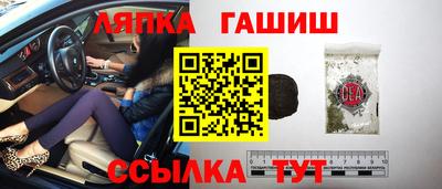 гидра Славгород