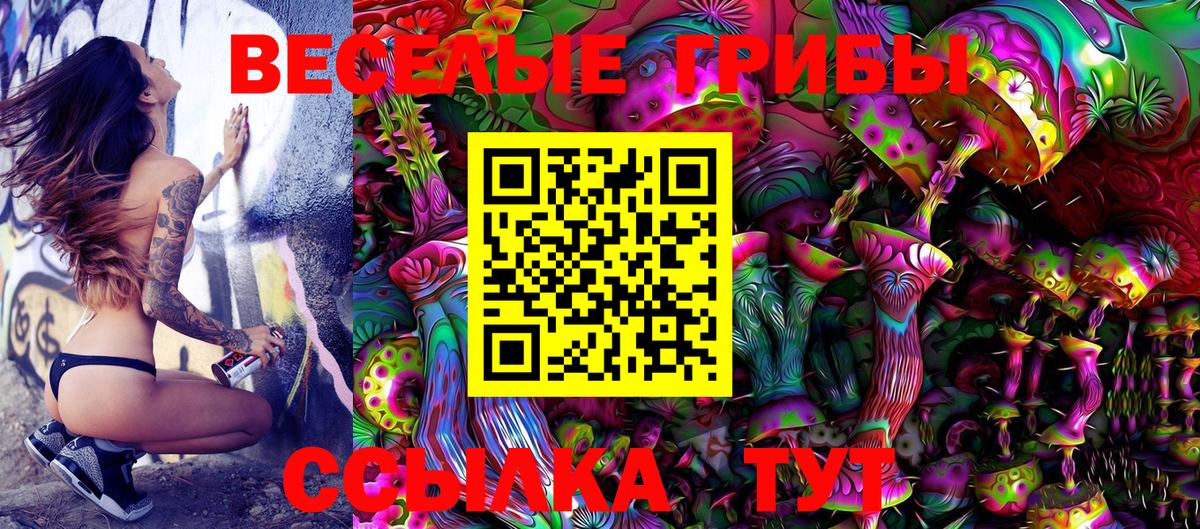 Галлюциногенные грибы Magic Shrooms  Вход с VPN  Осинники 